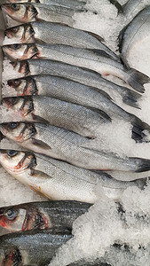 关闭在冰上的新鲜西巴鱼供市场销售图片