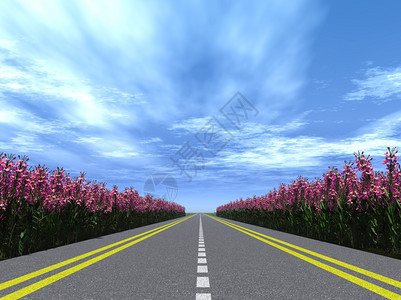 公路上有标志边鲜花盛开的明亮蓝色没有太多云彩的天空图片