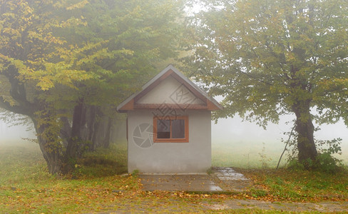 雾林中的小房子图片