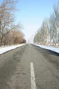 一条冬季线路边和树上下雪图片