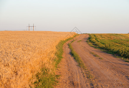 通往小麦田的道路图片