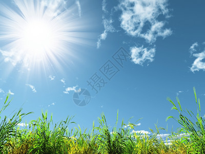 太阳和草地光亮的束图片素材