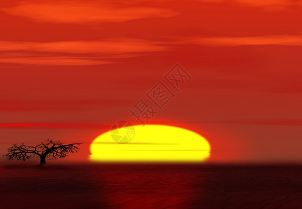 沙漠中的日落荒亚奥尼努之上明亮迷人衰落地平线上有棵干树图片