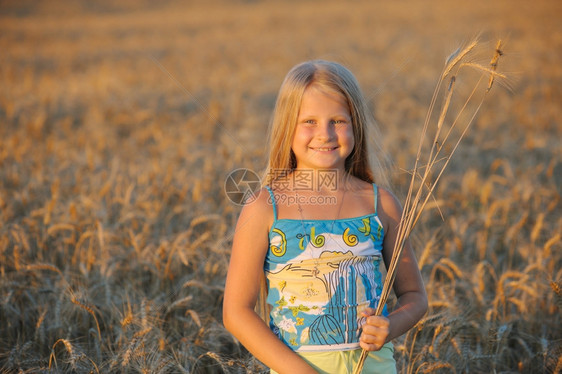 女孩在小麦中温暖的日落图片