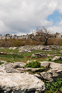 岩石植被克里米亚保留地的荒野区图片