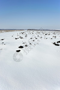 东欧冬季被白雪覆盖的草原图片