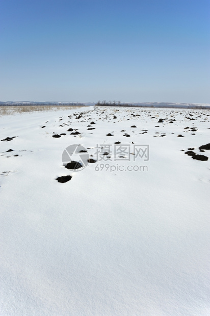 东欧冬季被白雪覆盖的草原图片