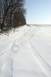 东欧冬季草原上雪地上的车辙图片