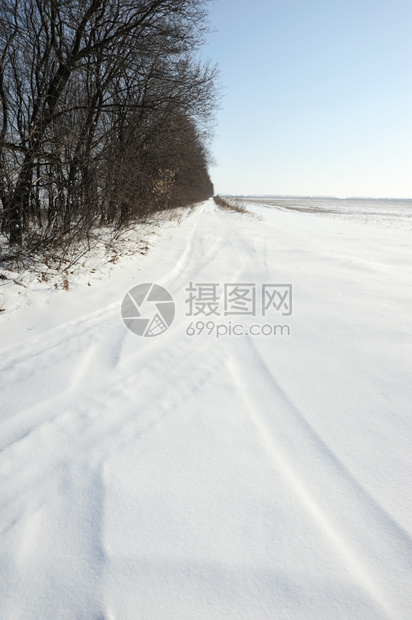 东欧冬季草原上雪地上的车辙图片