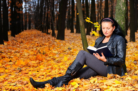 那个有魅力的女人在秋天森林里读了那本书背景图片