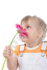 小女孩闻着一朵花孤立于白种背景图片