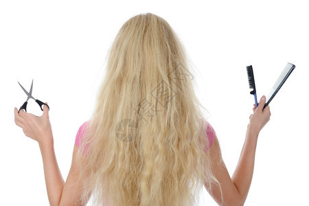头发和剪背交织的年轻女孩白背景孤立图片