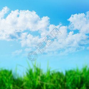 蓝天白云草地背景美丽的绿草与晴的蓝天空相抗争背景