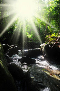 在阳光明媚的一天森林中美丽的瀑布图片