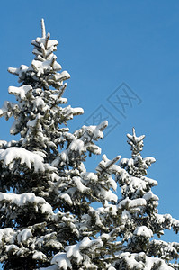 蓝色天空背景的冬雪顶层容易分离图片