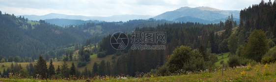 夏季枯燥的山地绿草斯拉夫克村郊区喀尔巴阡山乌克兰图片