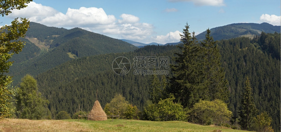 夏季山地绿色草原和一堆干斯拉夫克村郊区喀尔巴阡山乌克兰图片