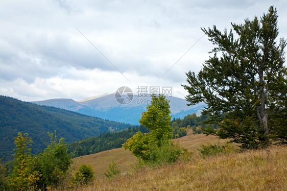 喀尔巴阡山脉乌克兰秋天风景山顶首次下黑白雪图片