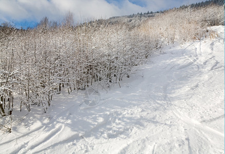 冬季寒平静的山地景观森林和滑雪坡上覆盖了黑和图片