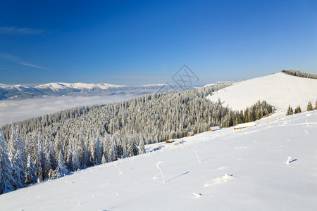冬季平静的山地景观有些雪覆盖了山地从后面的前线和棚屋群从Bukovel滑雪胜地乌克兰到Svydovets山脊图片