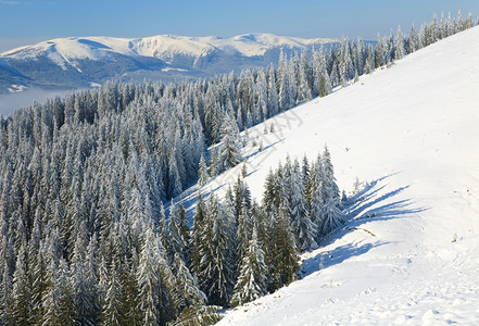 冬季平静的山地景观从Bukovel滑雪度假胜地乌克兰到Svydovevets山脊图片