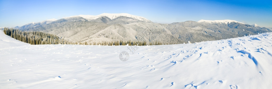 冬季平静的山地风景雪覆盖了树枝缝三针图片