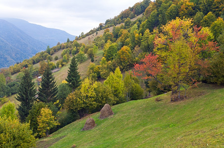 美丽的秋山和边干草堆喀尔巴阡山乌克兰图片