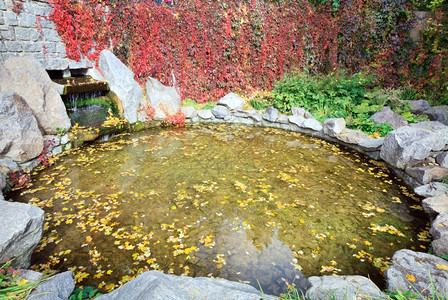秋季公园中黄叶和小瀑布的池塘水面图片