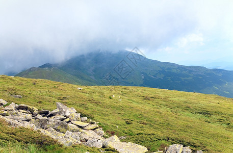 夏季山边乌克兰喀尔巴阡山的焦热灌木和大块石头图片