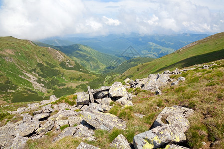 夏季山边乌克兰喀尔巴阡山的平粉红多登山花和大块石头图片