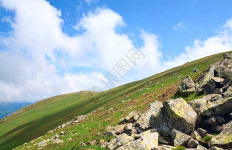 夏季山边和顶的云上乌克兰喀尔巴阡山的平粉红多登山花和石头图片