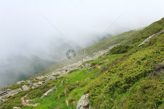 夏季山边乌克兰喀尔巴阡山的焦热灌木和大块石头图片