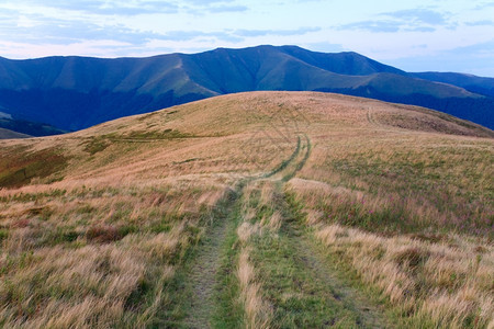 带乡村公路乌克兰喀尔巴阡山的夏季多云山地景观图片