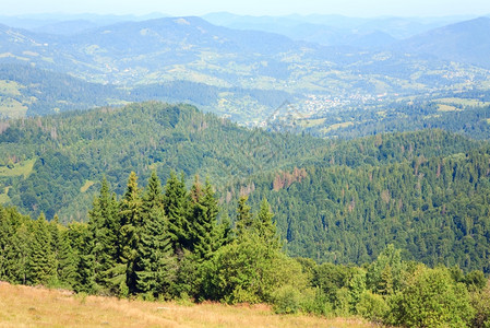 夏季山村和边森林图片