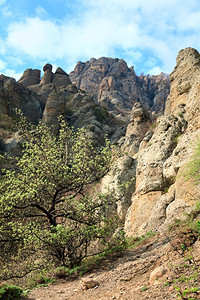 洛基山脉风景乌克兰里米亚Demerdzhi山Demerdzhi附近幽灵谷图片