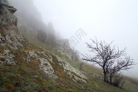 洛基山雾观Demerdzhi山克里米亚乌兰里米亚图片