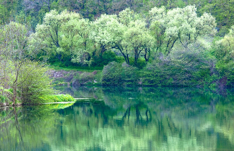 带春树和岩石的美丽湖泊图片