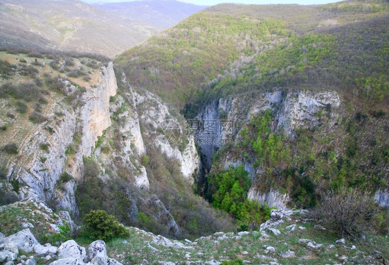 克里米亚大峡谷山脉的春景和斜坡上松树克里米亚乌兰图片