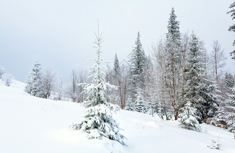 山地景观枯燥无味山上有雪花树图片