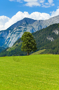 阿尔卑斯山丘宁静的夏季风景奥地利戈绍村郊区图片