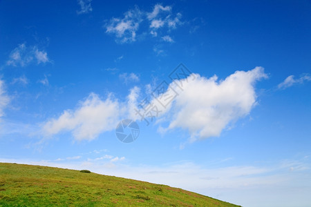 夏季山坡上的粉红色多登山花图片