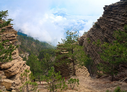 乌克兰里米亚山坡上的AjPetri山风景和松树图片