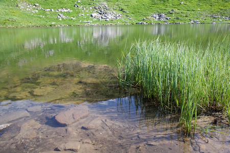 夏季山峡谷乌克兰科霍诺格拉海脊喀尔巴阡山的纳萨莫维特阿尔卑斯湖图片