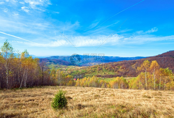 秋天山区地貌空有村庄白种树和蒸气流喀尔巴阡山乌克兰图片