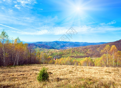 秋天山区风景天空有村庄生菜树和阳光喀尔巴阡山乌克兰图片