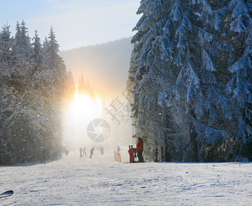 阳光照耀的雪尘闪冬季山区景观和滑雪斜坡图片