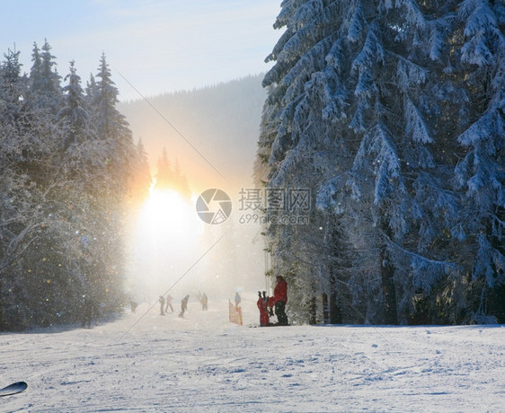 阳光照耀的雪尘闪冬季山区景观和滑雪斜坡图片