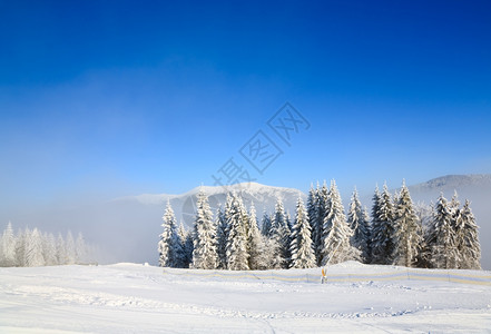 冬季寒冷平静的山地景观和乌克兰Bukovel滑雪胜地图片