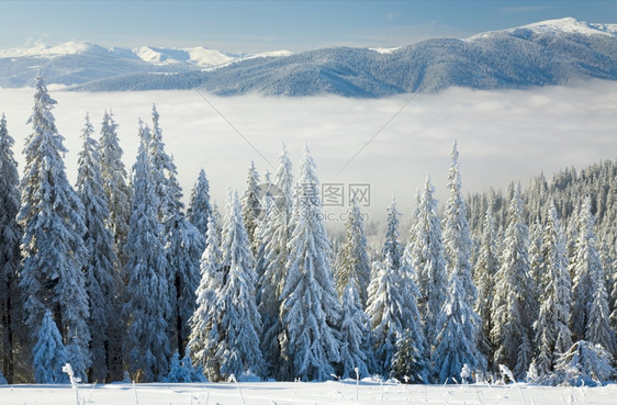 冬季平静的山地风景有些雪覆盖在前端从Bukovel滑雪胜地乌克兰到Svydovets山脊图片