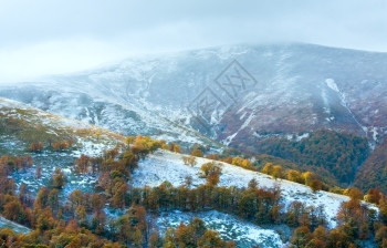 满地都是雪霜图片